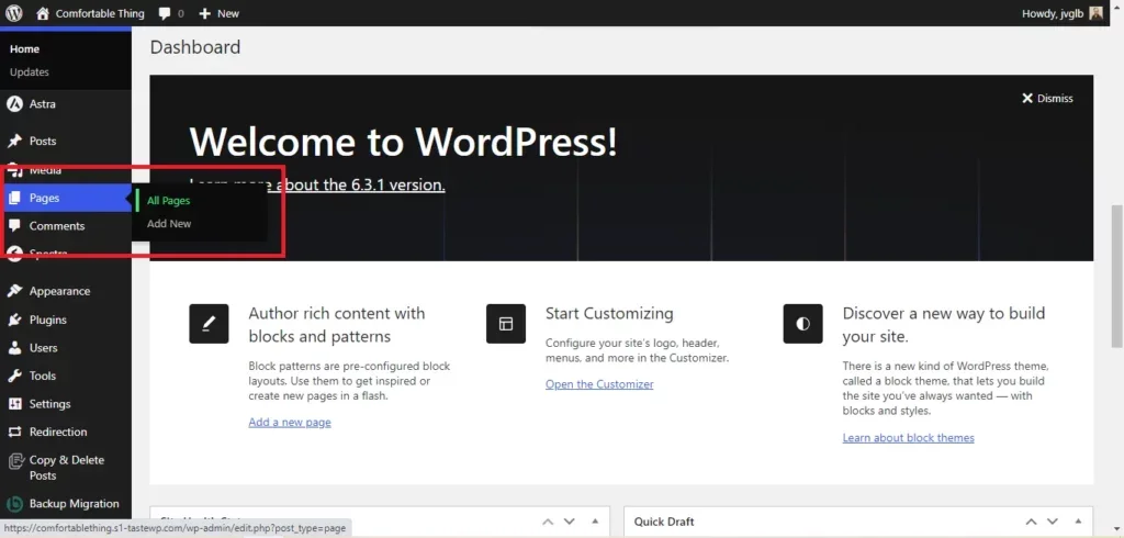 Screenshot of the WordPress dashboard, highlighting the Pages section with options to view all pages or add a new one.